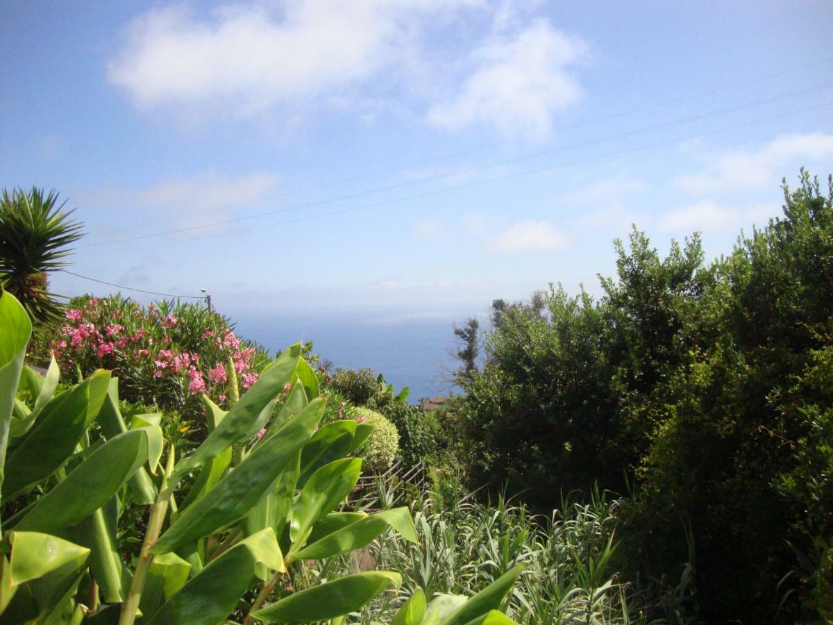 Blooming Botanic Houses Estreito Da Calheta Exterior foto